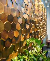 ELMAS Elegant Hexagonal Black Walnut Wall Panel