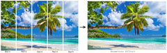 ELMAS Custom Southeast Asian Rainforest Mural Wallpaper - Al Masam Stationery LLC