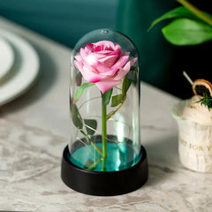 ELMAS Elegant LED Galaxy Rose Trio - Perfect Gift!