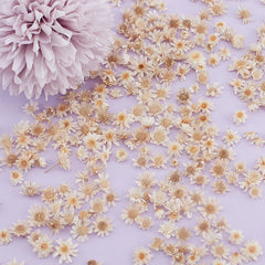 ELMAS Charming Dried Flower Set for DIY Crafts and Art