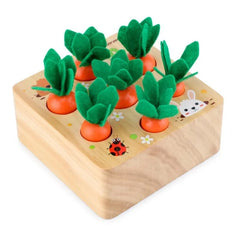 ELMAS Montessori Shape Sorter Carrot Harvest Game Toys