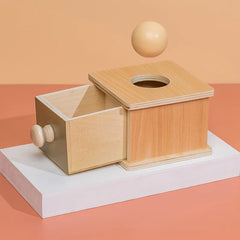 ELMAS Montessori Toys Wooden Object Permanence Box 5 in 1 - Al Masam Stationery LLC