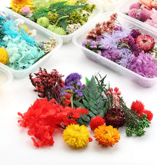 ELMAS Dried Floral Elegance for DIY Crafts and Decor