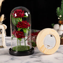 ELMAS Elegant LED Galaxy Rose Trio - Perfect Gift!