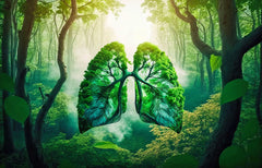ELMAS Custom Tropical Rainforest Green Plant Wallpaper - Al Masam Stationery LLC