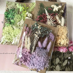 ELMAS Dried Pressed Flowers for DIY Crafts & Home Décor - Al Masam Stationery LLC