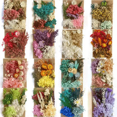 ELMAS Dried Pressed Flowers for DIY Crafts & Home Décor - Al Masam Stationery LLC