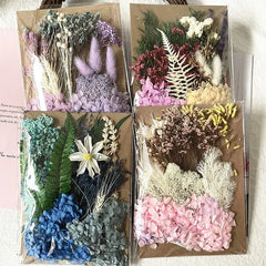 ELMAS Dried Pressed Flowers for DIY Crafts & Home Décor - Al Masam Stationery LLC