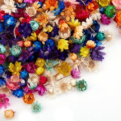 ELMAS Charming Dried Flower Set for DIY Crafts and Art