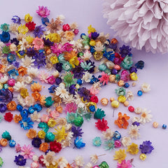 ELMAS Charming Dried Flower Set for DIY Crafts and Art