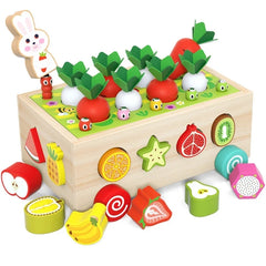 ELMAS Montessori Shape Sorter Carrot Harvest Game Toys