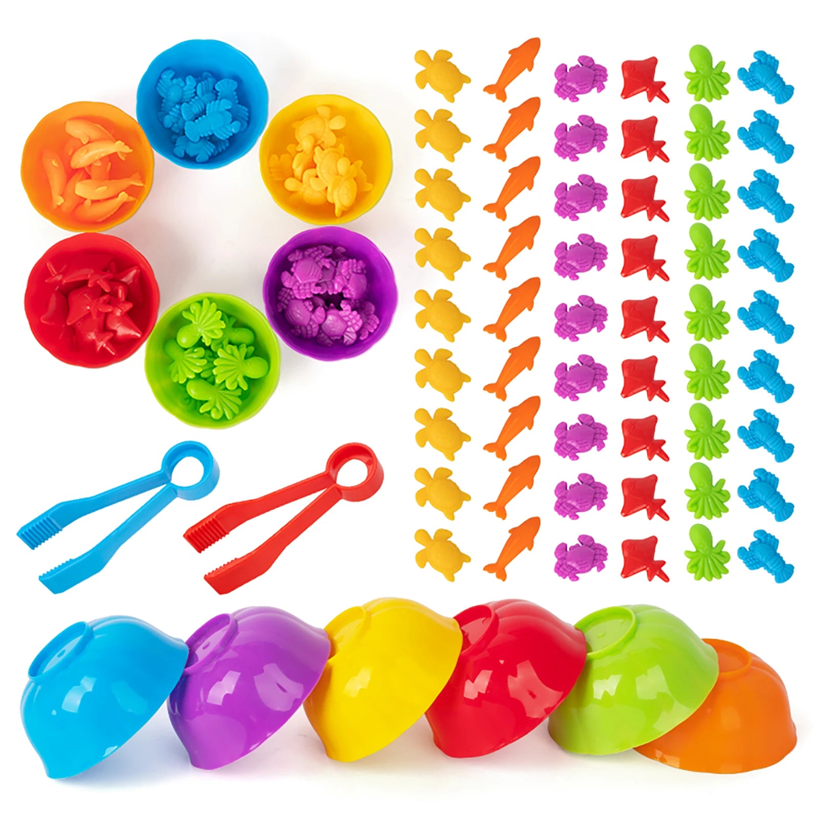 ELMAS: Counting Animal Models With Colorful Bowls - Al Masam Stationery LLC