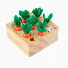 ELMAS Montessori Shape Sorter Carrot Harvest Game Toys