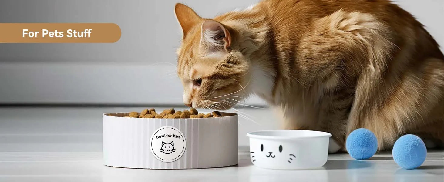 ELMAS Wireless Mini Thermal Label Printer for Home & DIY - Al Masam Stationery LLC