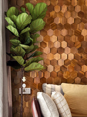 ELMAS Elegant Hexagonal Black Walnut Wall Panel