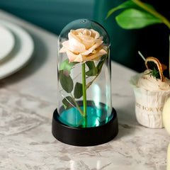 ELMAS Elegant LED Galaxy Rose Trio - Perfect Gift!