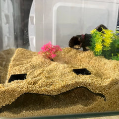 ELMAS Aquarium Cave Hiding Cave For Aquatic Pets - Al Masam Stationery LLC