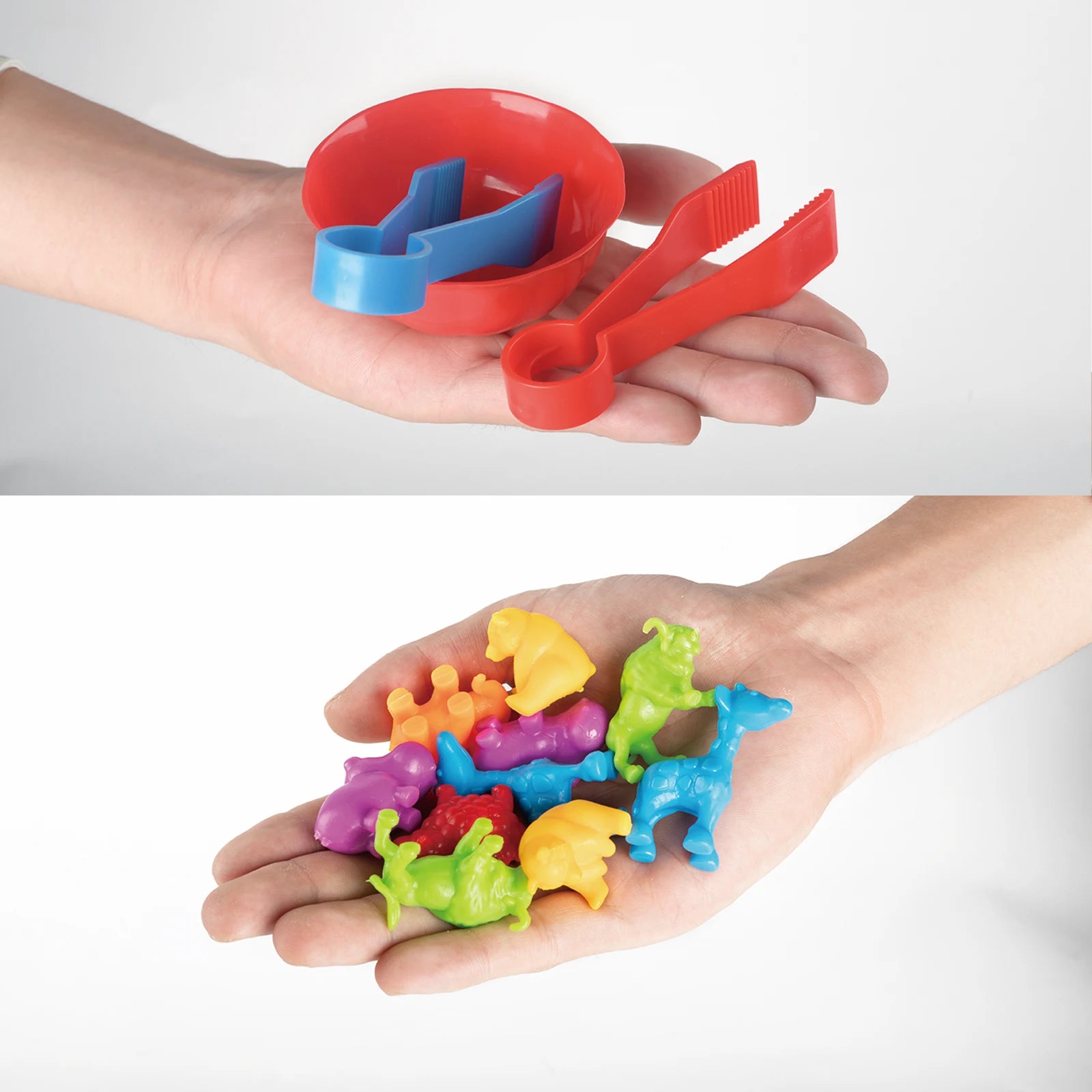 ELMAS: Counting Animal Models With Colorful Bowls - Al Masam Stationery LLC
