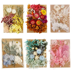 ELMAS Dried Pressed Flowers for DIY Crafts & Home Décor - Al Masam Stationery LLC