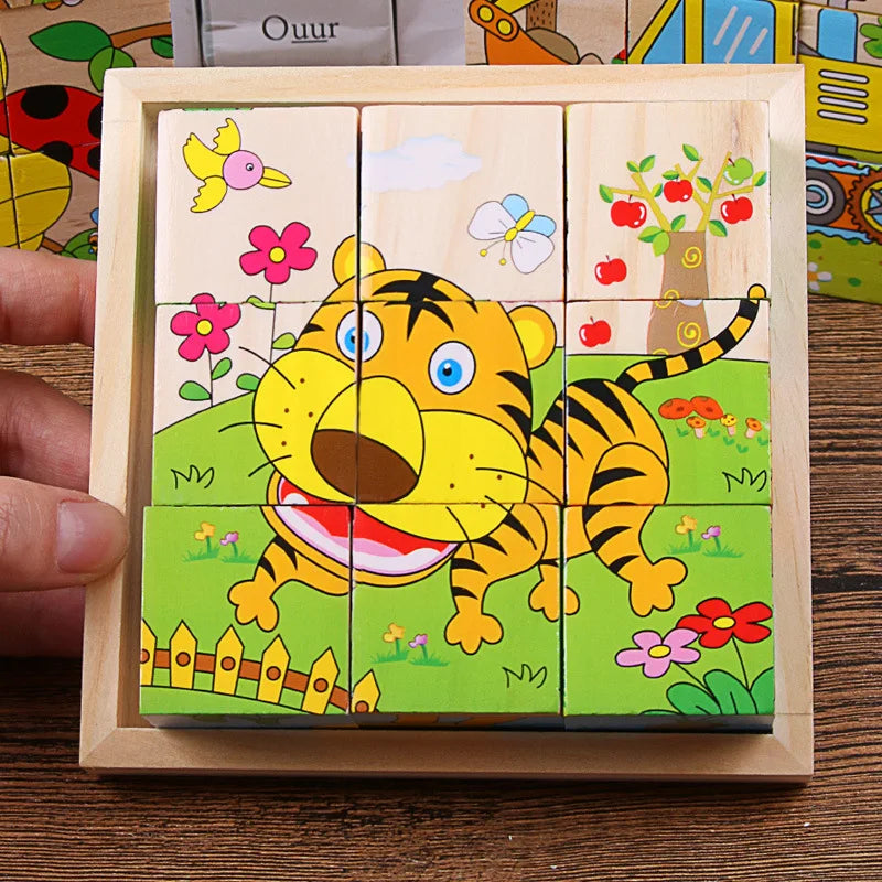 ELMAS Wooden Six Sided 3D Cube Puzzle for Kids Fun - Al Masam Stationery LLC