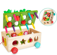 ELMAS Montessori Shape Sorter Carrot Harvest Game Toys