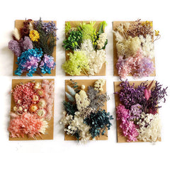 ELMAS Dried Pressed Flowers for DIY Crafts & Home Décor - Al Masam Stationery LLC