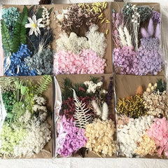 ELMAS Dried Pressed Flowers for DIY Crafts & Home Décor - Al Masam Stationery LLC