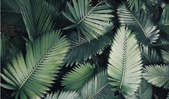 ELMAS Custom Nordic Leaf Wallpaper for Kids Room Decor - Al Masam Stationery LLC