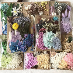 ELMAS Dried Pressed Flowers for DIY Crafts & Home Décor - Al Masam Stationery LLC