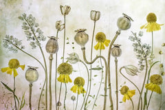 ELMAS Beibehang Custom Wallpaper Mural 3D Floral Design - Al Masam Stationery LLC