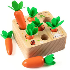 ELMAS Montessori Shape Sorter Carrot Harvest Game Toys