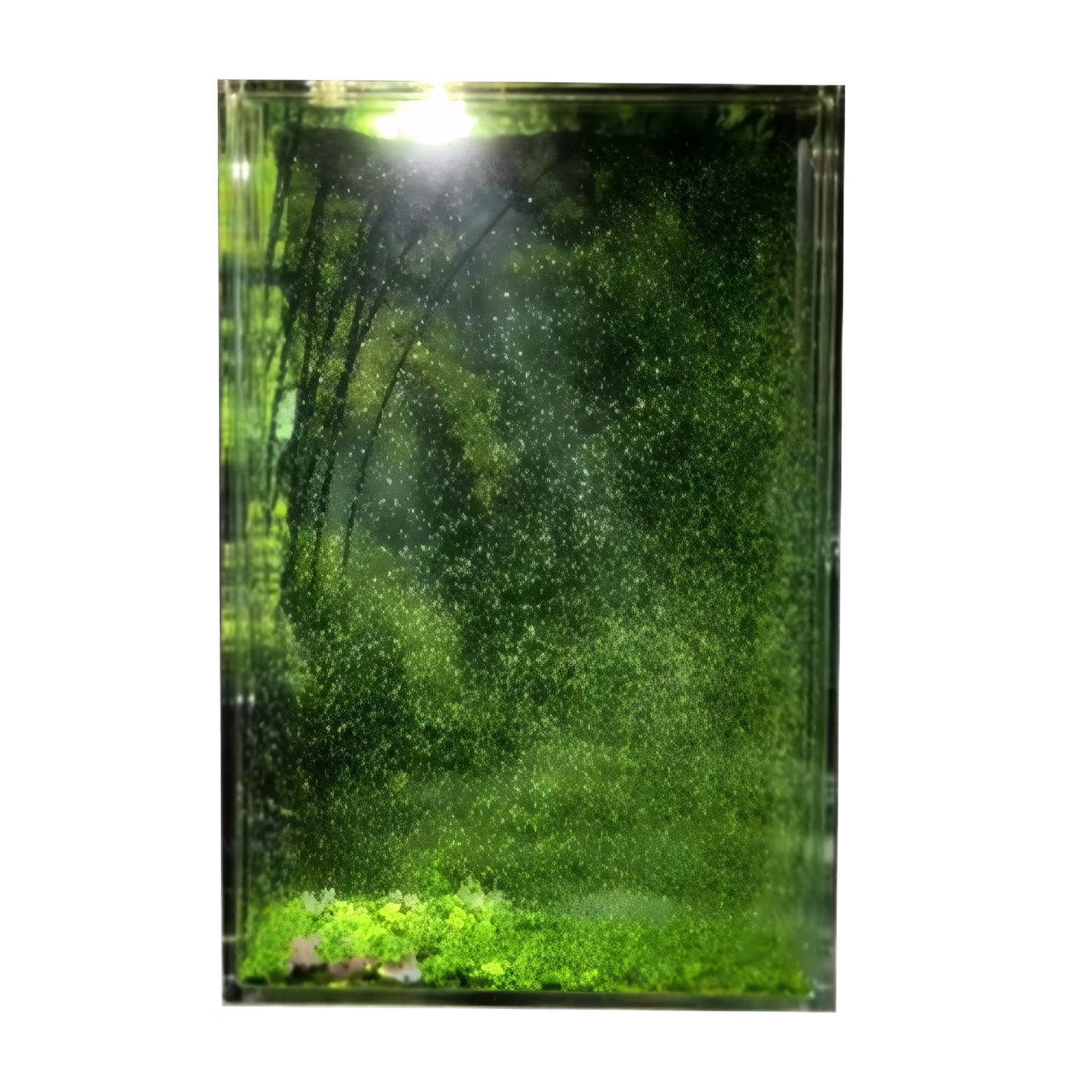 ELMAS DIY Snow Night Lights Street Lamp Learning Toy - Al Masam Stationery LLC