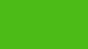 Chart Paper Dark Green - Al Masam Stationery LLC Main image