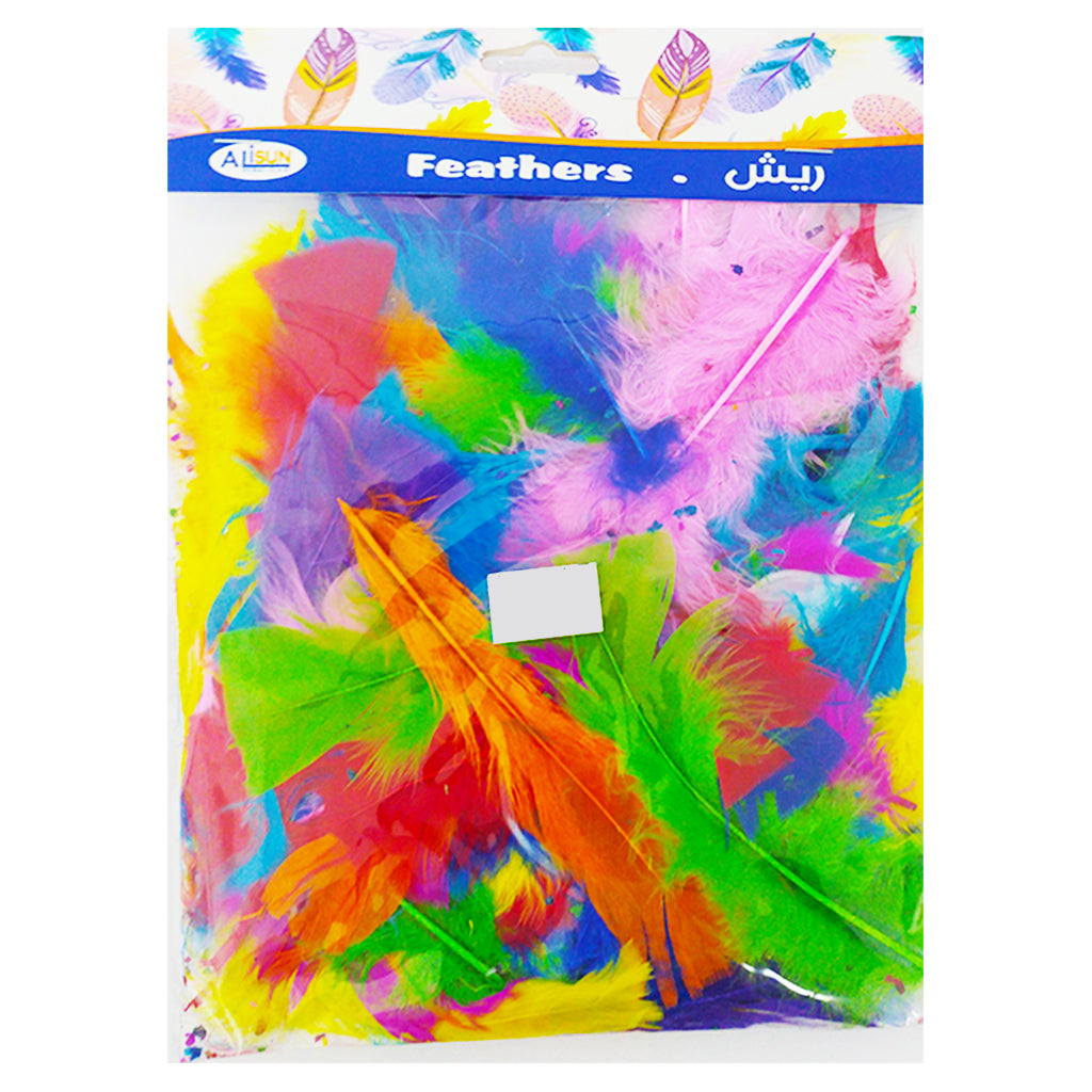 Assortd clr. Feathers for Craft Main image