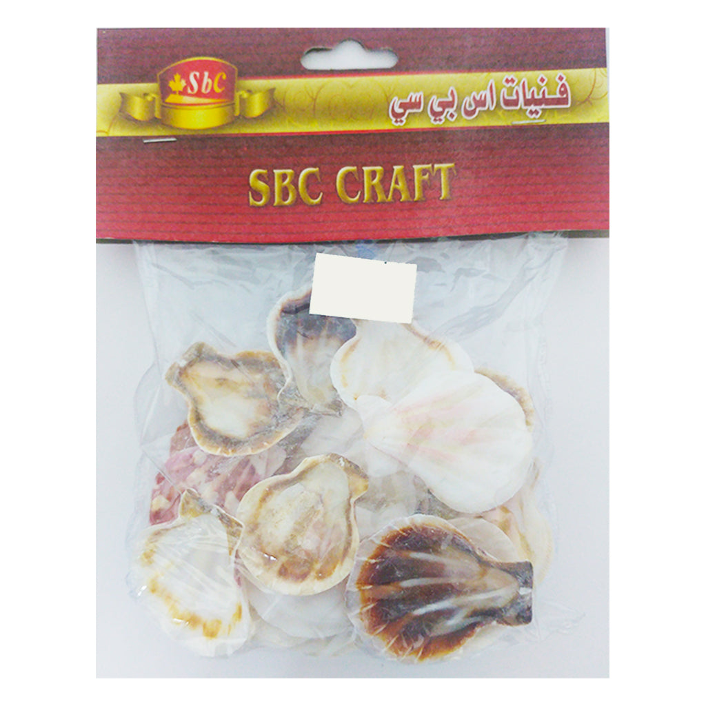 Sea Shell 100g - Al Masam Stationery LLC Main image