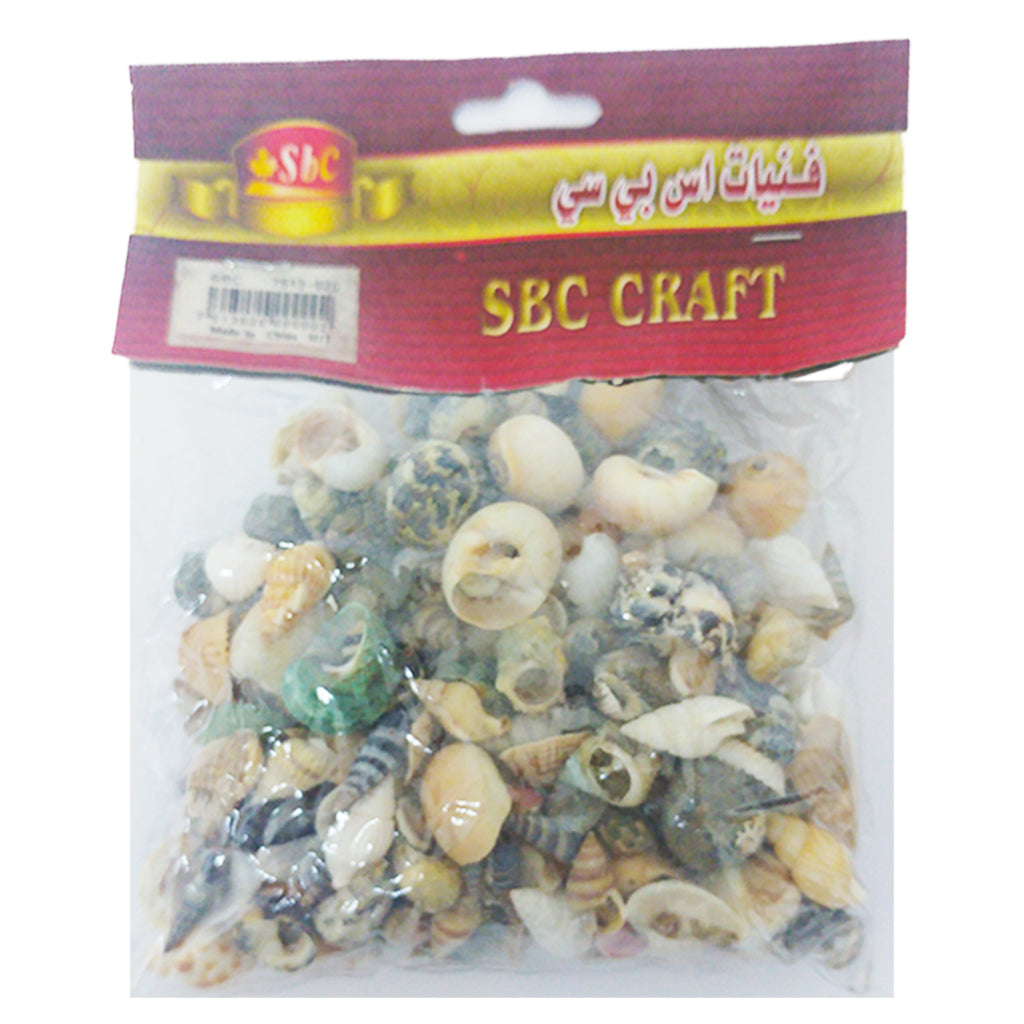 Sea Shell 130g - Al Masam Stationery LLC Main image