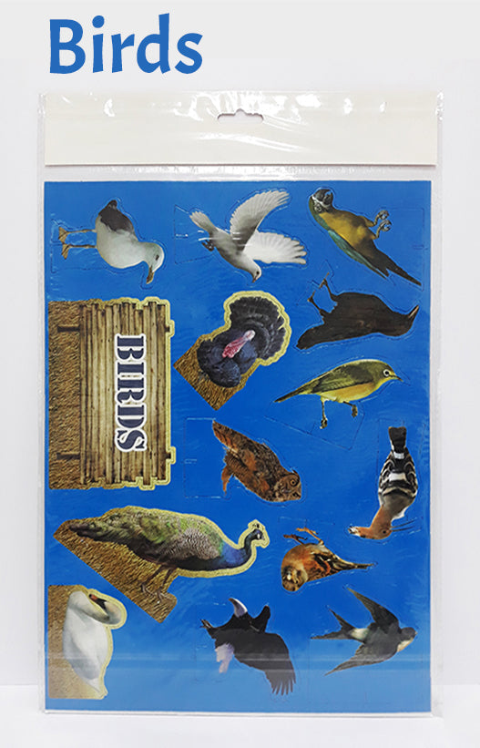 3D Shapes For Project Secondary image