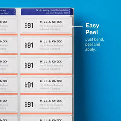 Easy Peel® Address Labels, Sure Feed™ Technology, Permanent Adhesive, 1" x 2-5/8" for Laser Printers - Al Masam Stationery LLC