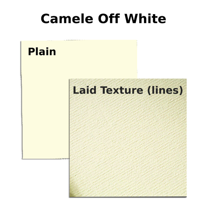 A4 Royal Exec.Bond Paper 100gsm-Camele Off White (Pack of 100) Laid Texture (lines) / Plain - Al Masam Stationery LLC