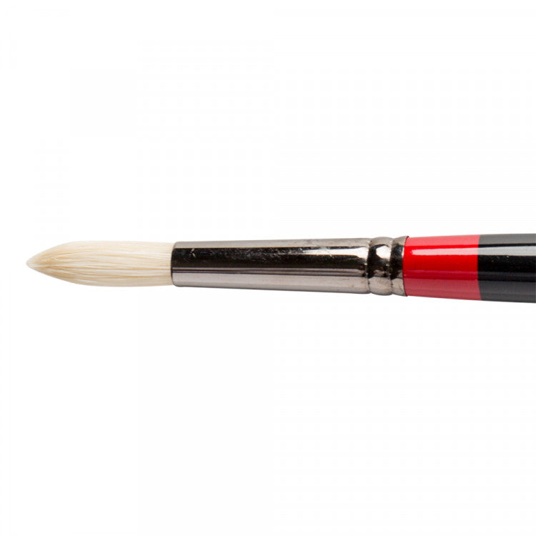 Brush GEORGIAN ROUND G24-8