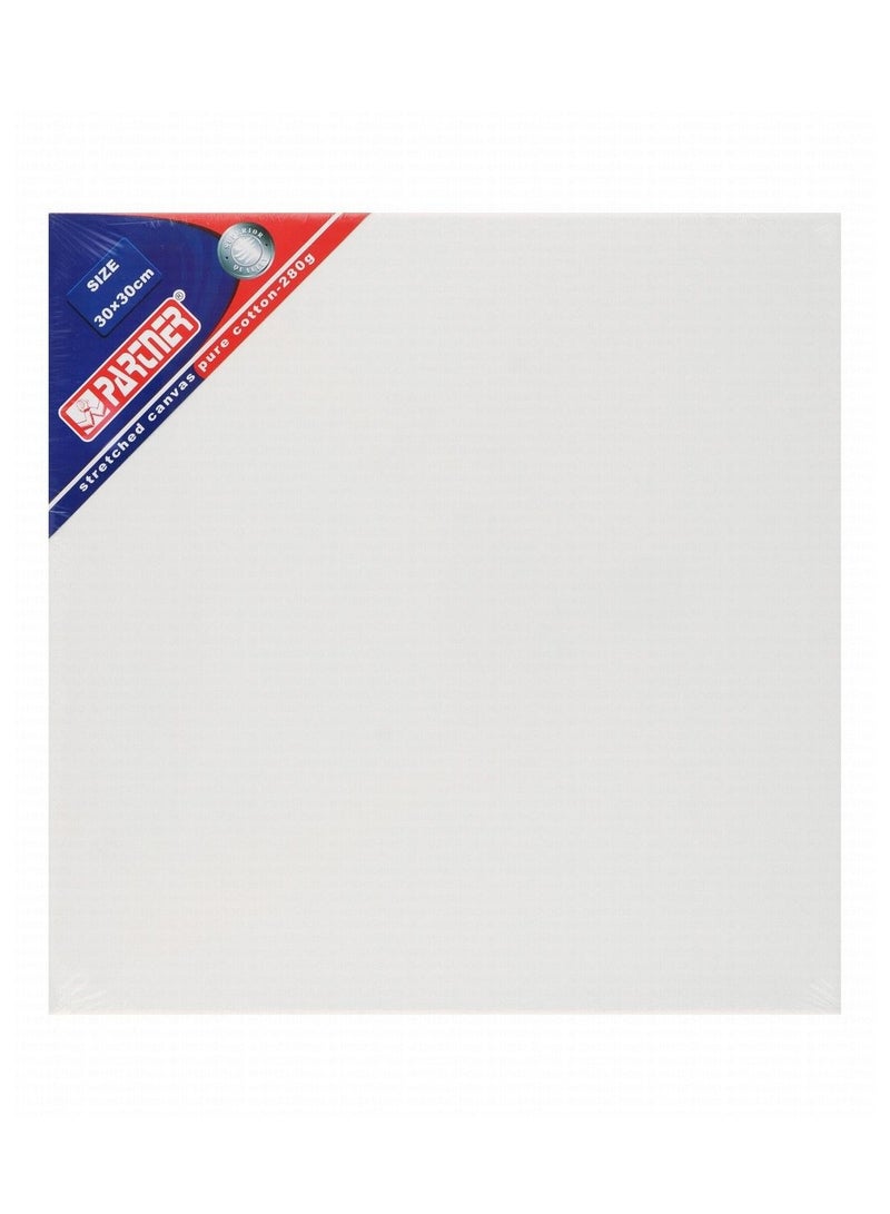 Partner Stretched Canvas 30x30cm 280gsm - Al Masam Stationery LLC