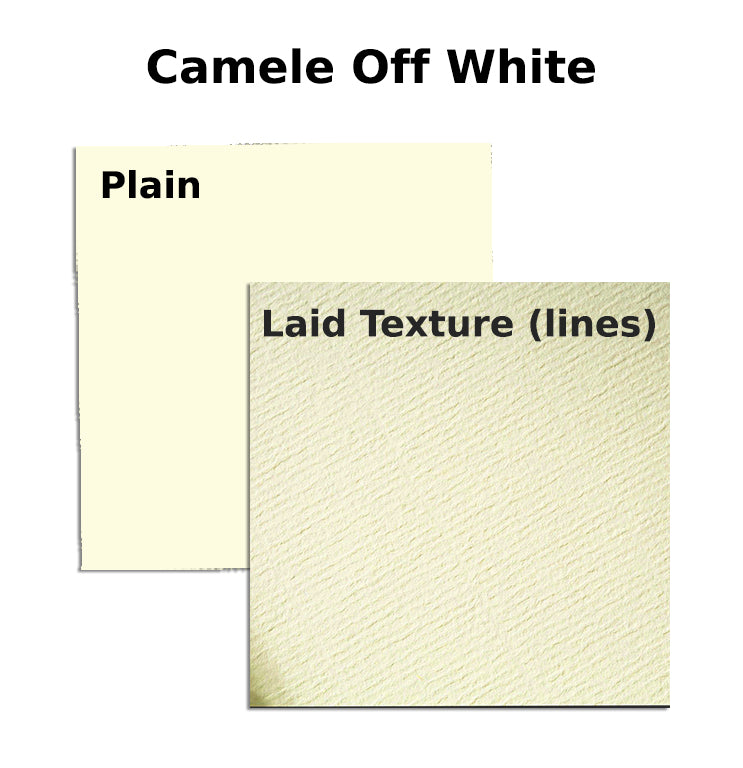 A4 Royal Exec.Bond Paper 100gsm-Camele Off White (Pack of 100) Laid Texture (lines) / Plain - Al Masam Stationery LLC