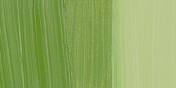 Holbein Artists Oil Colors Cinnabar Green  40Ml - Al Masam Stationery LLC