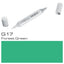 Copic Sketch Marker G17 Forest Green - Al Masam Stationery LLC