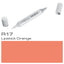R17 Lipstic Orange Sketch Marker - Al Masam Stationery LLC