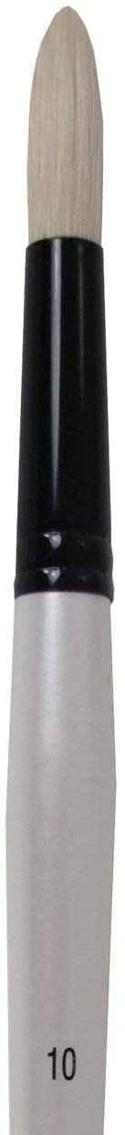 Daler Rowney Graduate Round Bristle Hair Brush Long Handle - Al Masam Stationery LLC Main image