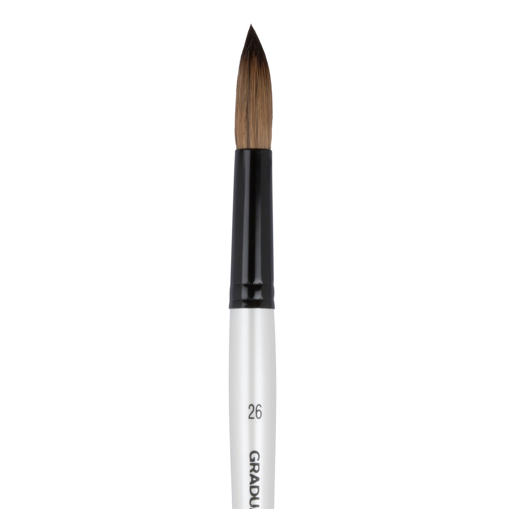 Daler Rowney Graduate Round Pony Hair / Synthetic Brush Size 26 - Al Masam Stationery LLC - Brushes & Rollers - Brushes & Rollers