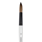 Daler Rowney Graduate Round Pony Hair / Synthetic Brush Size 26 - Al Masam Stationery LLC - Brushes & Rollers - Brushes & Rollers