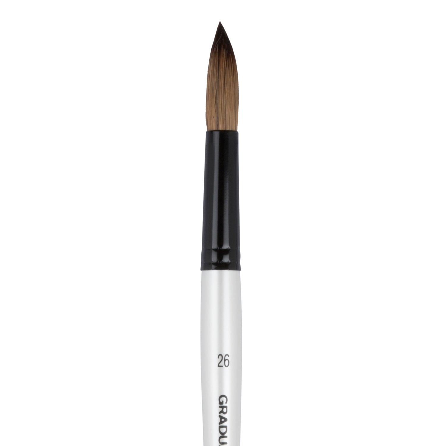Daler Rowney Graduate Round Pony Hair / Synthetic Brush Size 26 - Al Masam Stationery LLC - Brushes & Rollers - Brushes & Rollers