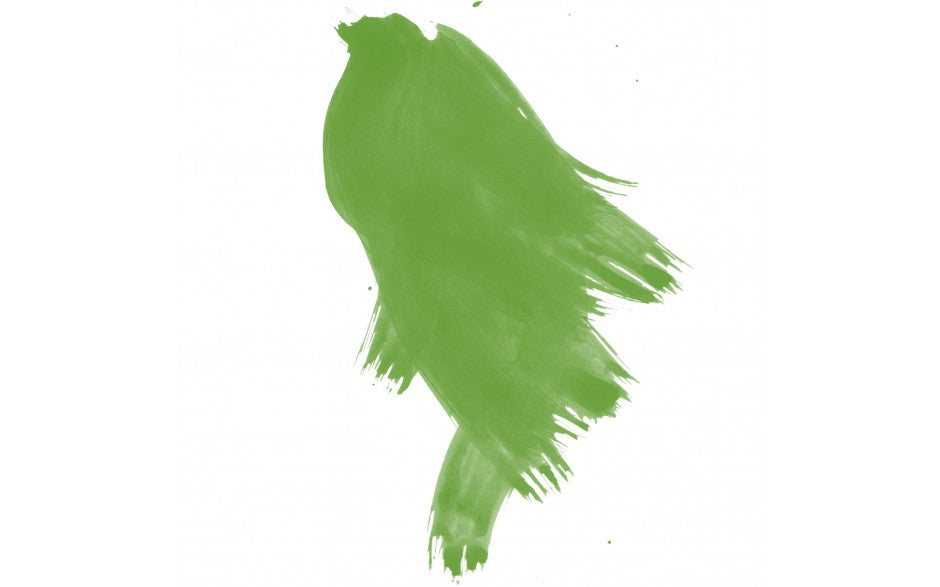 Daler-Rowney FW Ink 29.5ml Fluorescent GREEN Secondary image